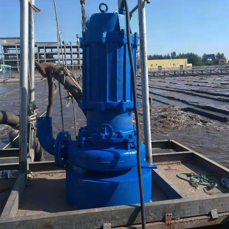 Grande pompe de dragage de sab - Submersible Pump Sewage avis et prix