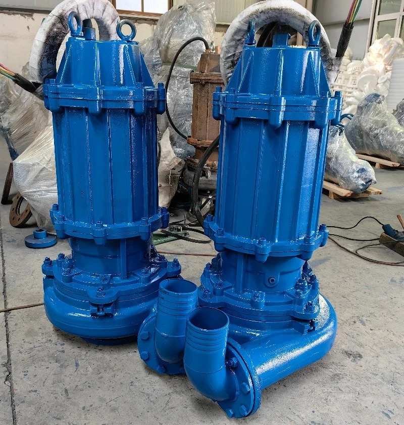 Pompe à boue submersible avec  - Submersible Pump Sewage avis et prix