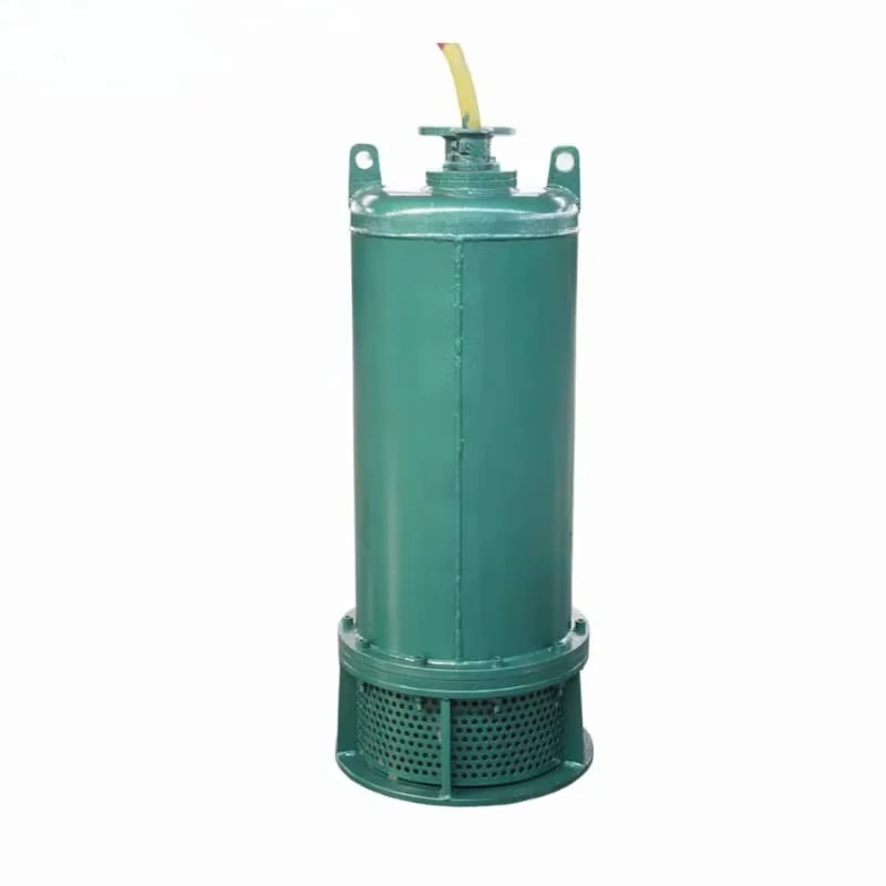 Pompe centrifuge à eaux usées  - Submersible Pump Sewage avis et prix