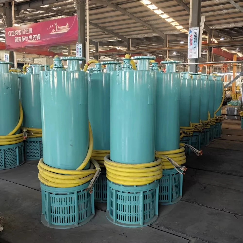 Pompe centrifuge à eaux usées  - Submersible Pump Sewage avis et prix